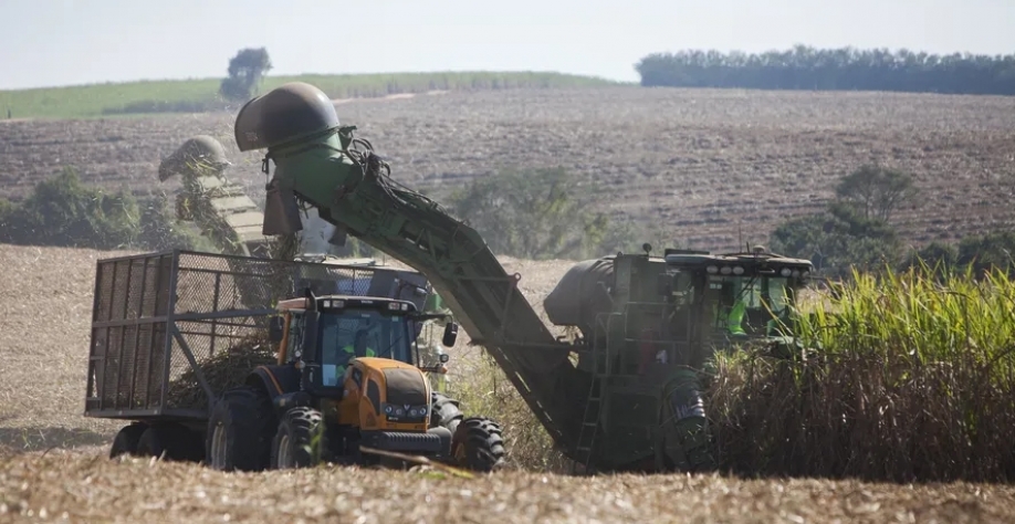 Agentes de mercado esperaram por novas informações sobre o desenvolvimento dos canaviais do Centro-Sul — Foto: Marcelo Min