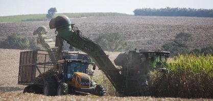 Com foco na safra do Brasil, preço do açúcar cai 2% em Nova York