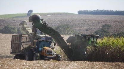 Com foco na safra do Brasil, preço do açúcar cai 2% em Nova York