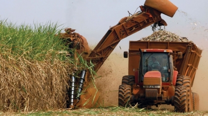 Aprovação de projeto que regulamenta mercado de carbono no Brasil abre oportunidades para os produtores de cana