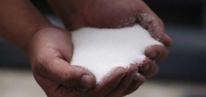 Produção de Açúcar do Centro-Sul Vai se Recuperar na Próxima Safra, Diz Datagro