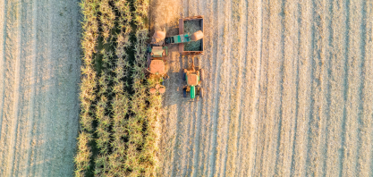 Zilor fecha segundo trimestre da Safra 24/25 com crescimento de 20,7% no EBITDA ajustado marcado por aquisição e parceria estratégica para o crescimento dos negócios