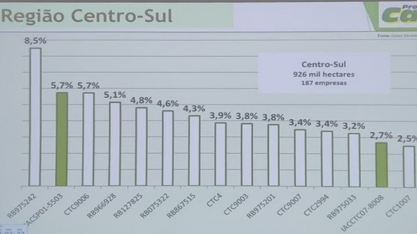 Variedade de cana IACSP01-5503 é o grande destaque do Censo Varietal Safra 2024/25