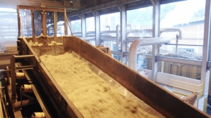 Mercado de açúcar sob influência macroeconômica