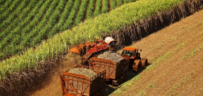 Assembleia de Minas debate a importância da produção de cana-de-açúcar no estado