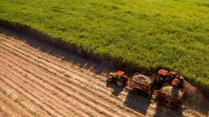 Com novas pesquisas, etanol tende a avançar sobre a gasolina