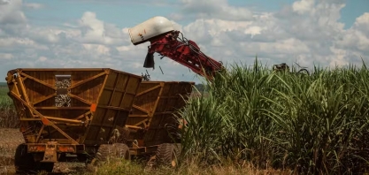 PIB da agropecuária deve cair em 2024 e retomar crescimento em 2025