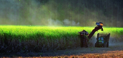 Moagem de cana-de-açúcar atinge 27 milhões de toneladas na 2ª quinzena de outubro