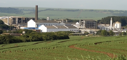 Queimadas impactam produção de açúcar da São Martinho, que redireciona foco para etanol