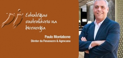 Estratégias sustentáveis na bioenergia