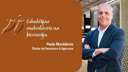 Estratégias sustentáveis na bioenergia