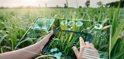 Humanos na Frente da IA em Agropecuária, Bioenergia e Agroindústria; Entenda
