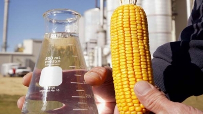Produção de etanol do Brasil cresce com impulso do milho após queda na safra de cana