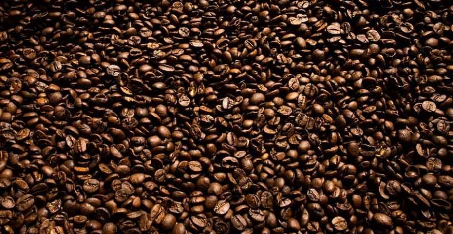 Os preços do café arábica apresentam-se ligeiramente acima das mínimas recentes de dois meses, em parte devido ao real mais forte — Foto: Wenderson Araujo/CNA