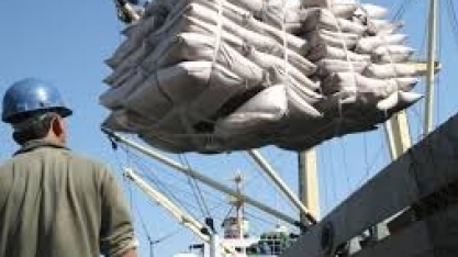 Setores do agro e energias renováveis apresentam documento com soluções climáticas a caminho da COP30