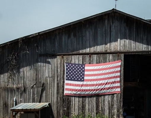 Entenda os impactos da vitória de Trump para o agronegócio brasileiro — Foto: Globo Rural