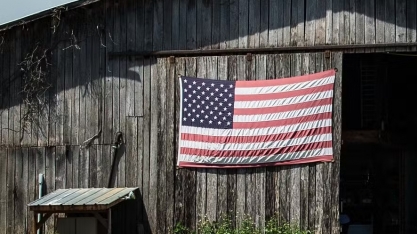 Como a vitória de Trump afeta o agro brasileiro?