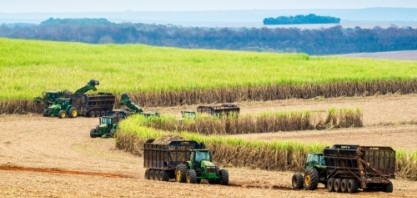 Moagem de cana-de-açúcar atinge 16,46 milhões de toneladas na primeira quinzena de novembro