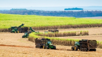 Moagem de cana-de-açúcar atinge 16,46 milhões de toneladas na primeira quinzena de novembro