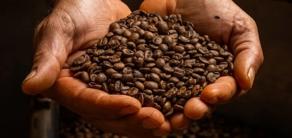 Café e açúcar abrem a semana em alta na bolsa de Nova York