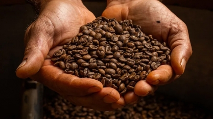 Café e açúcar abrem a semana em alta na bolsa de Nova York