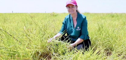 Valorização do microbioma do solo: a aposta sustentável dos agricultores brasileiros