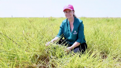Valorização do microbioma do solo: a aposta sustentável dos agricultores brasileiros