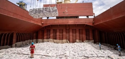 Cacau recupera perdas e abre o dia com alta de 3,4% em Nova York; açúcar recua 