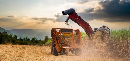 Etanol: energia renovável e desenvolvimento socioeconômico