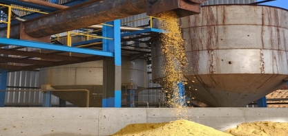 Pindorama investe na comercialização de WDG em saco