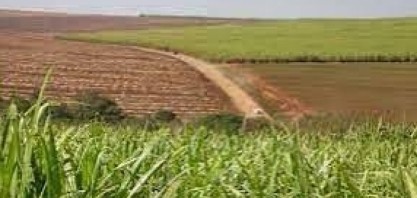 RenovaBio: distribuidores têm até o dia 31/12 para aposentar CBIOs para cumprimento das metas de 2024