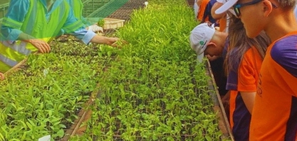 Usina São Manoel avança no plantio de árvores nativas em áreas afetadas pelo fogo do mês de agosto de 2024.