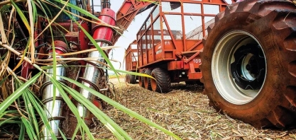 Seca e queimadas derrubam PIB do agro em 2024; queda do terceiro trimestre veio acima do esperado