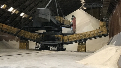 Consecana-AL/SE: preço do ATR reage em novembro com aumento de 6,6%