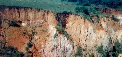 Dia Mundial do Solo alerta para boas práticas de conservação