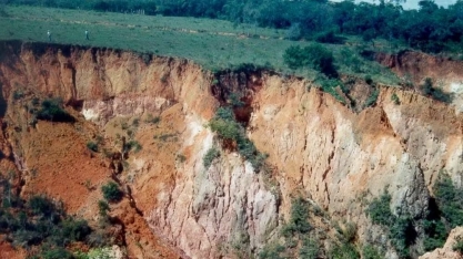 Dia Mundial do Solo alerta para boas práticas de conservação