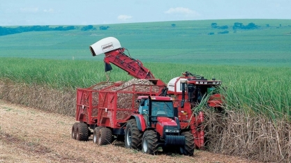 Senado aprova projeto que inclui produtores no RenovaBio e endurece regras para distribuidoras