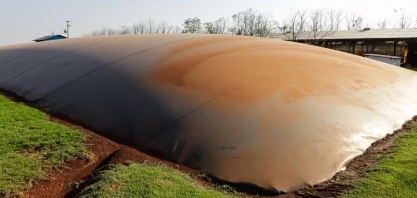 Governo de SP lança procedimentos para produção de biocombustíveis em propriedades rurais