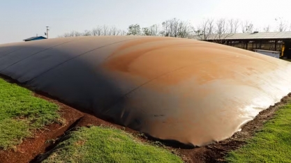 Governo de SP lança procedimentos para produção de biocombustíveis em propriedades rurais