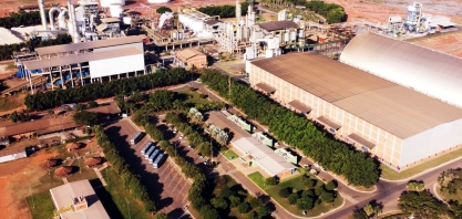 Safra 2024/25: Trabalho, Dedicação e União que Transformaram Desafios em Conquistas