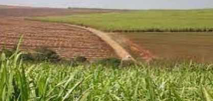 CBIO terá de superar 