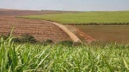 CBIO terá de superar 