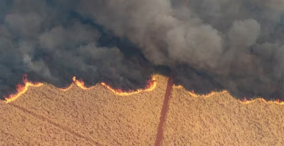 Vista aérea mostra incêndio em uma plantação de cana-de-açúcar perto da cidade de Dumont, interior de SP (24 de agosto) — Foto: Joel Silva/Reuters