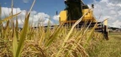 Produção de grãos pode chegar a 322,4 milhões de toneladas na safra 2024/25