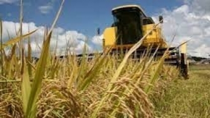 Produção de grãos pode chegar a 322,4 milhões de toneladas na safra 2024/25