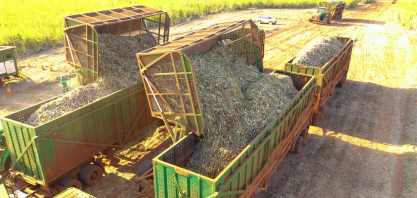 Usinas Batatais e Cevasa encerram Safra 2024/25