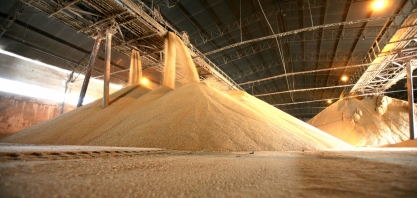 Açúcar: Destaques em meio à desaceleração do mercado