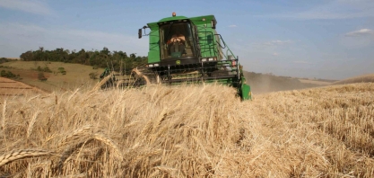 Uso do trigo para produção de etanol é tema de capacitação com cooperativas do Brasil