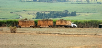 São Paulo celebra liderança nas exportações do agronegócio brasileiro em 2024