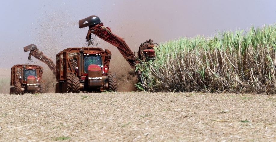  (Foto: Reuters/Paulo Whitaker)